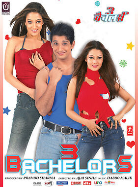 3-bachelors-2012-hindi-hd-28340-poster.jpg