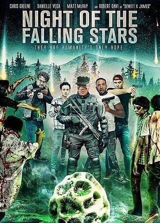 night-of-the-falling-stars-2021-english-hd-34516-poster.jpg